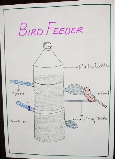 Image depicting Plastic Bottle Bird Feeder: Help Your Feathered Neighbors!