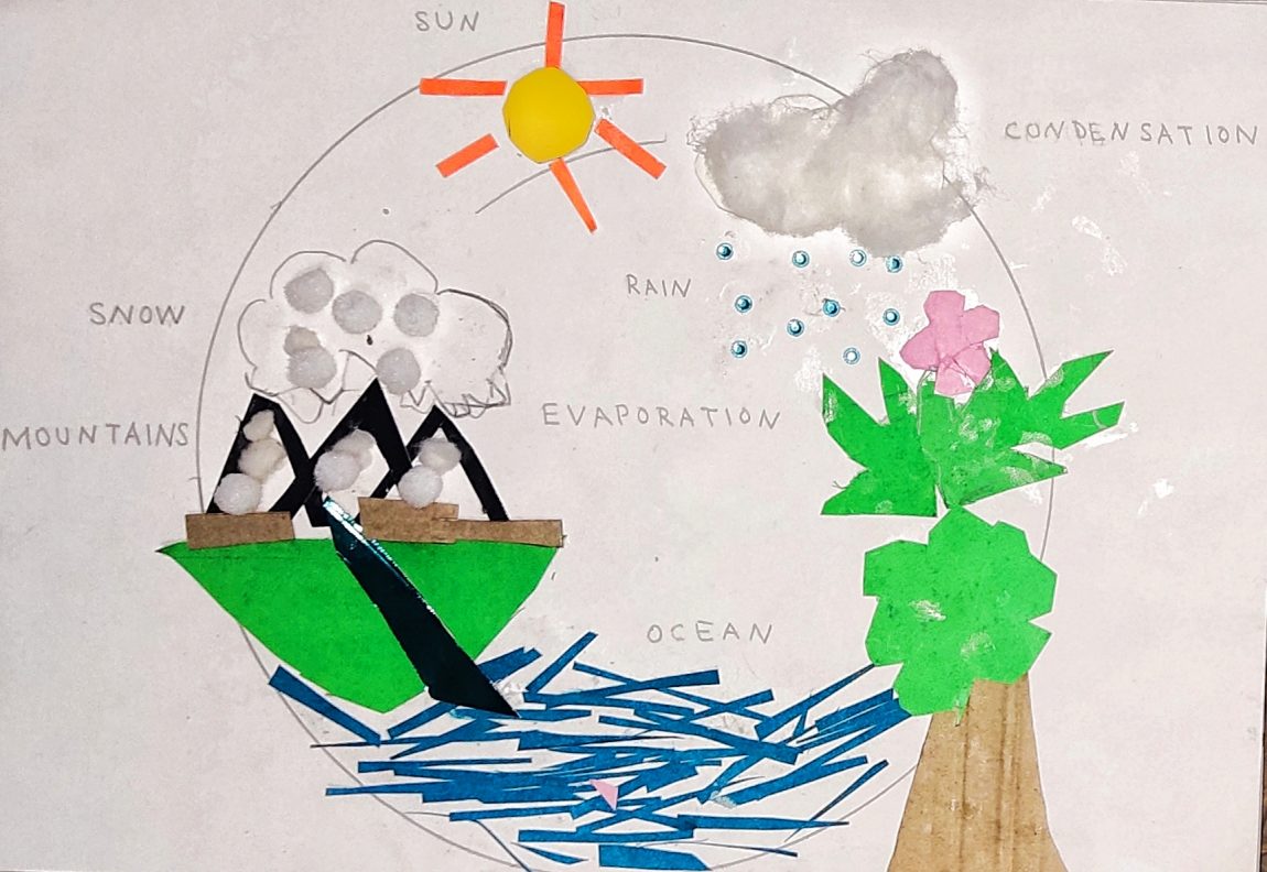 Water Cycle | Curious Times