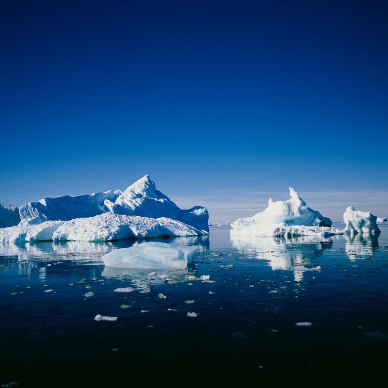 image depicting Antarctica had huge forest fires 75 million years ago