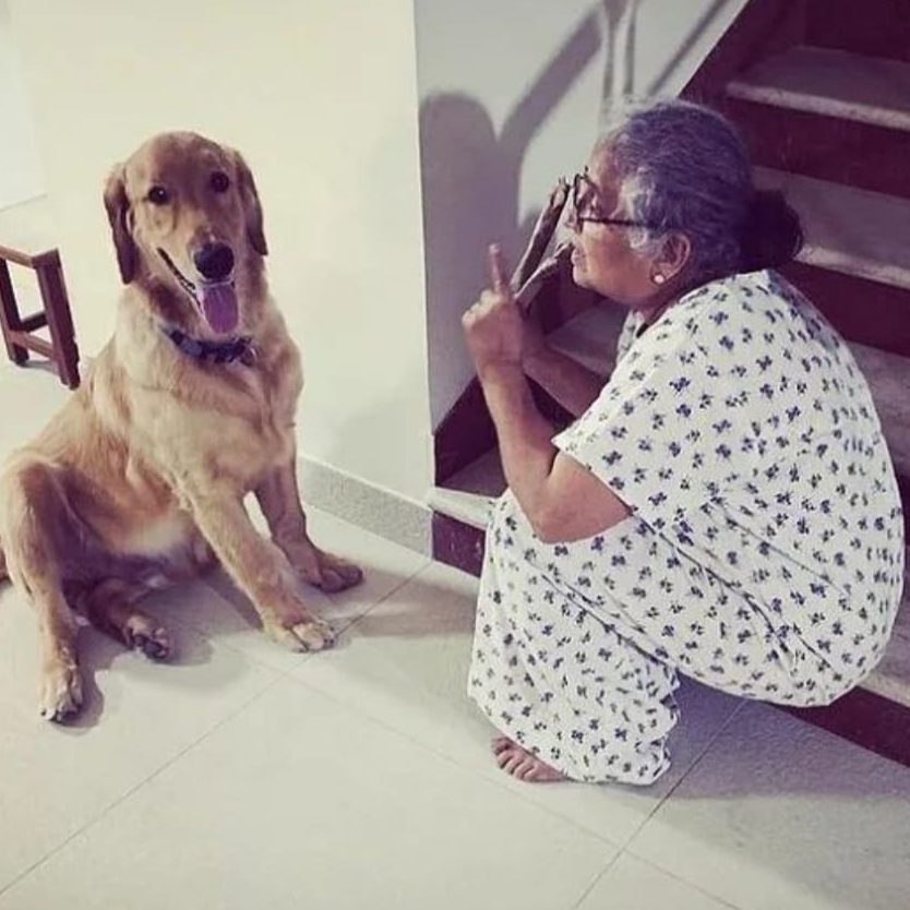 Image depicting Watch a video: Sudha Murthy celebrates her pet dog's birthday