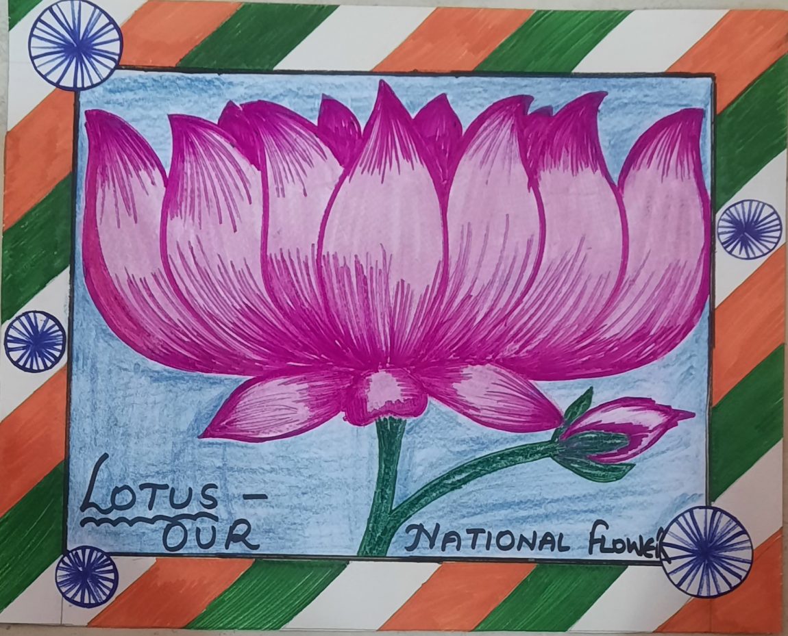 Little Genius National Symbols (India) with Knob, Multi Color - Manoj Stores