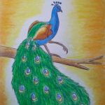 Image depicting Color Peacock Drawing: Easy Kids' Art