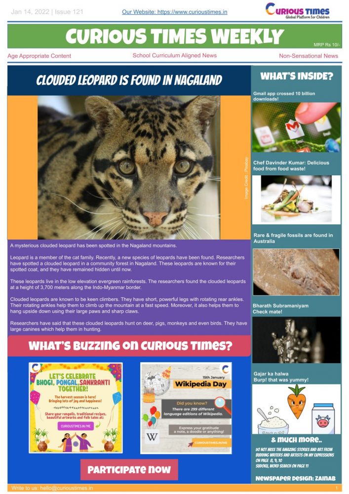 Newspaper for Children | Curious Times Weekly