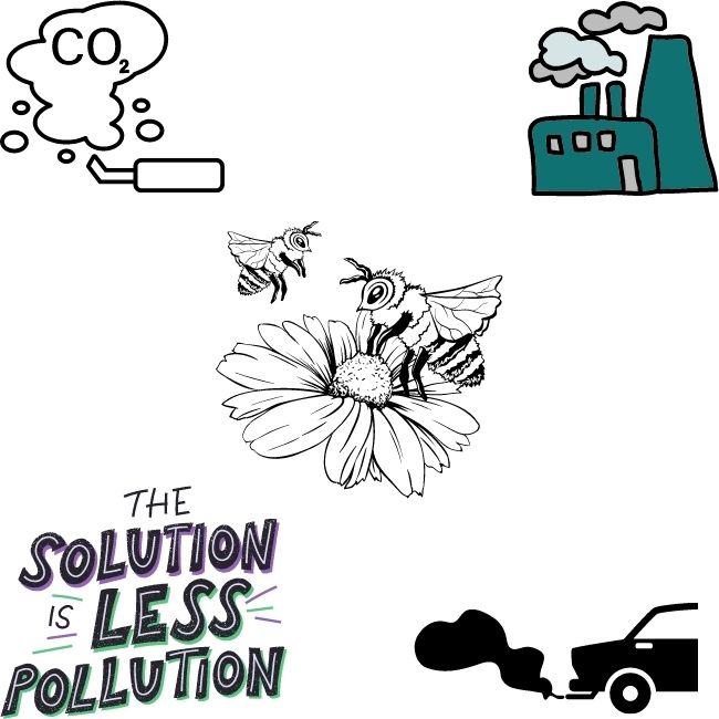 Image depicting Air Pollution - A jinx for insect pollinators