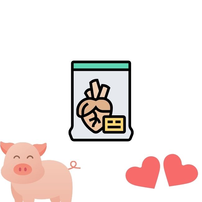 Image depicting First pig heart transplant: My heart beats oink!