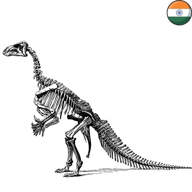 Image depicting India's fossil wealth - Hidden and maybe less sought!