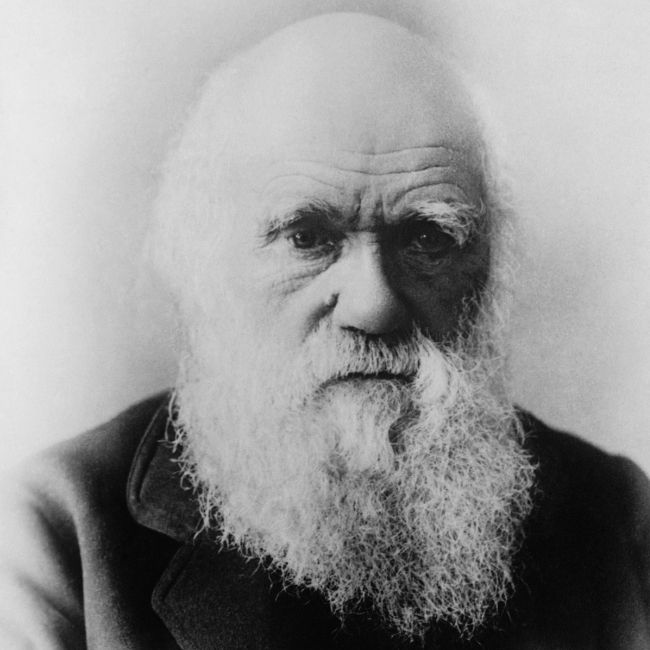 Image depicting Happy Birthday, Charles R Darwin: Library Treasures Shared!