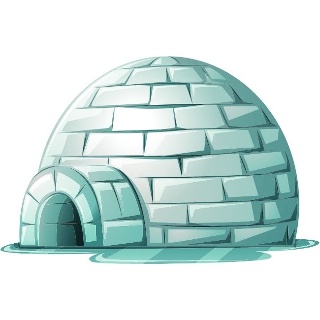 Image depicting Igloo Cafe - India’s first snow cafe