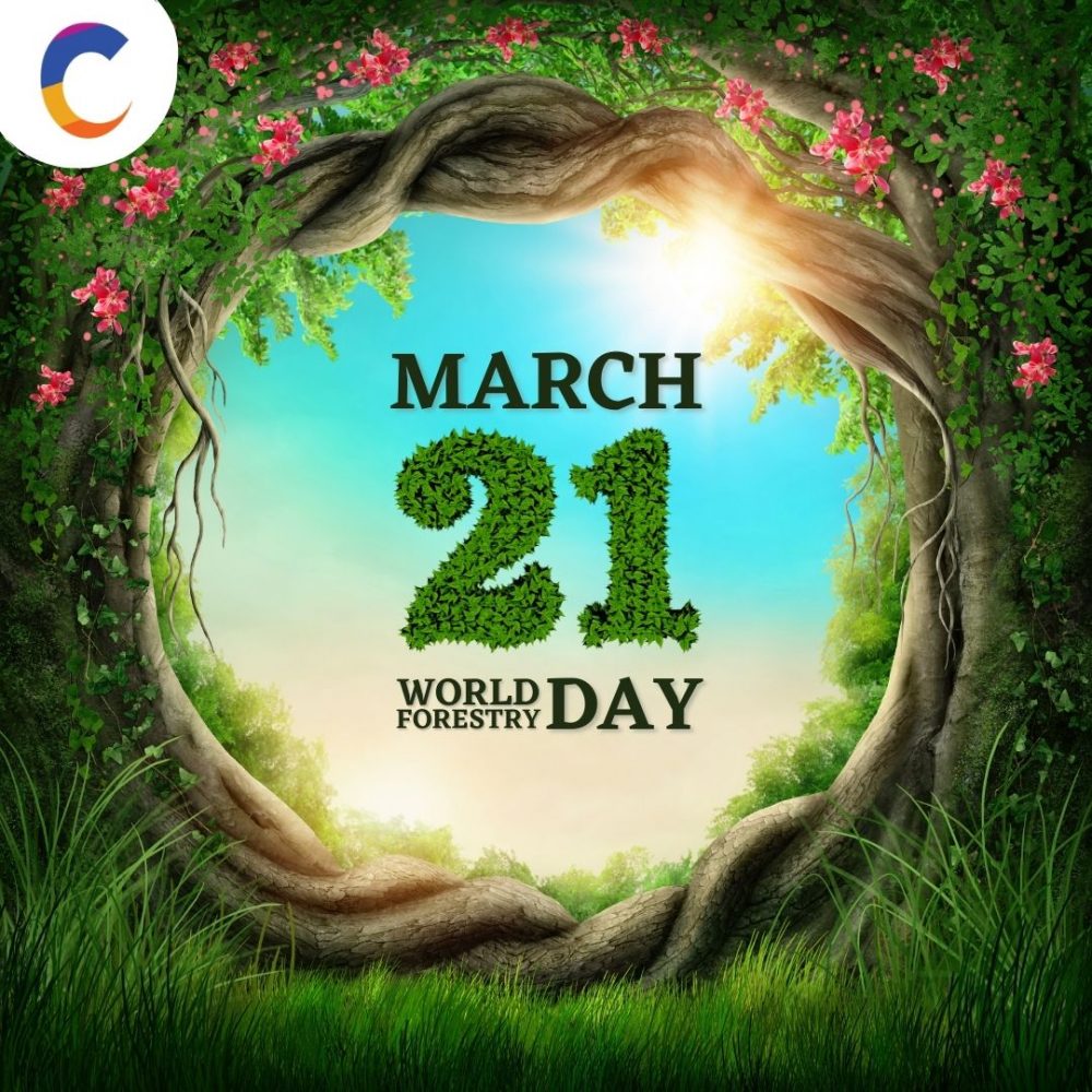 International Day of Forests, 21 March! Curious Times