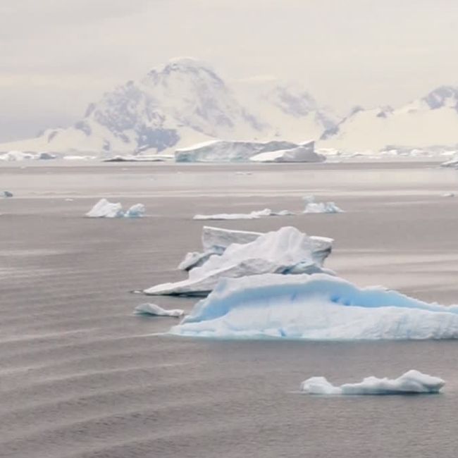 Image depicting North and South poles experiencing a heat wave in unison!