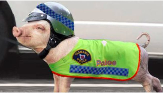Image depicting April Fools' Day prank - Tasmanian Police Department