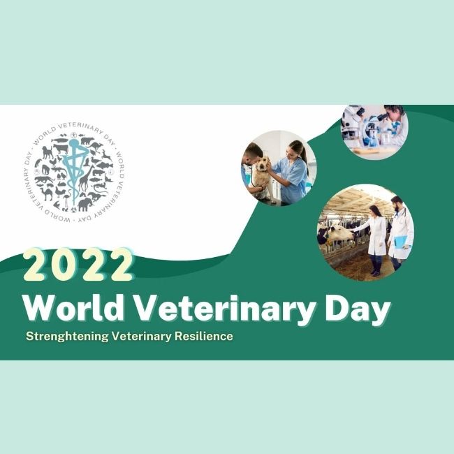 Image depicting World Veterinary Day, 30 April!