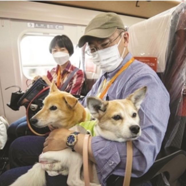 Image depicting Pooches ride Shinkasen bullet trains in style!