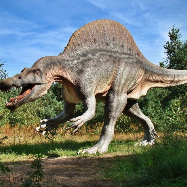 Image depicting dinosaur