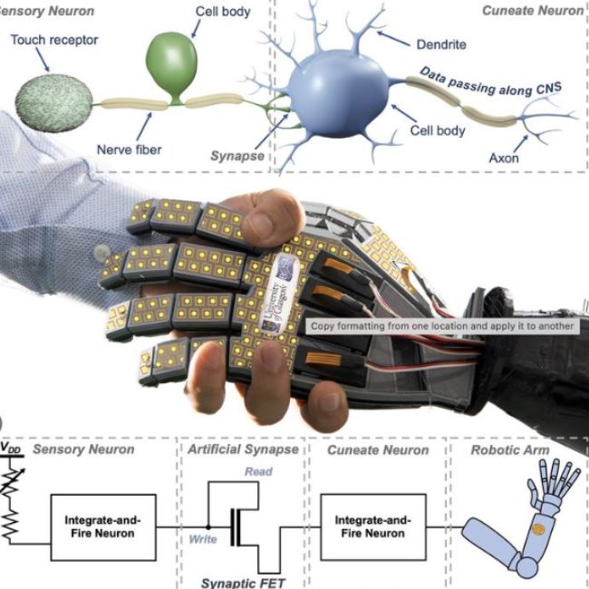 Image depicting e-Skin capable of touch sensitivity!