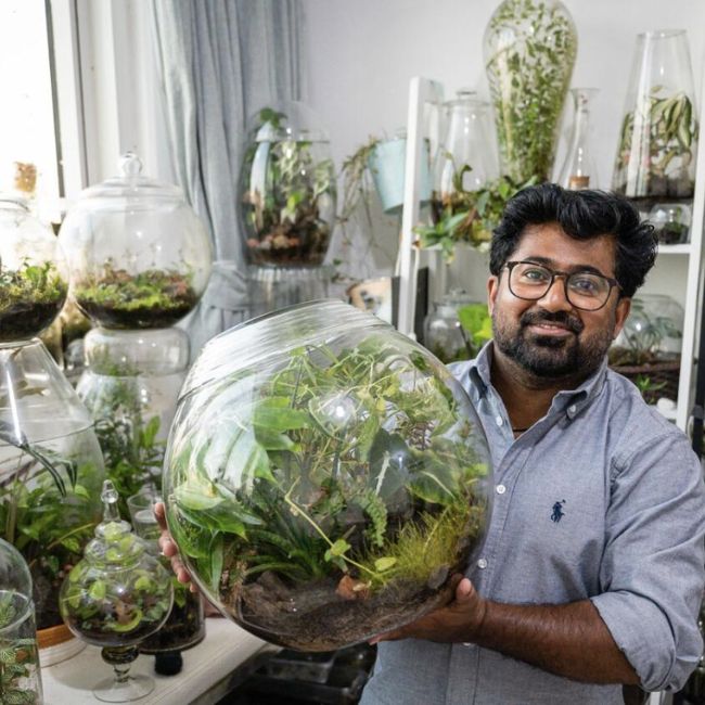 Image depicting Life science enthusiast cultivates mini-forests in jars!