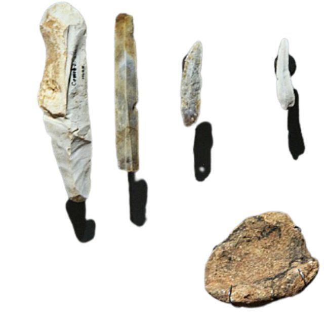 neolithic age farming tools