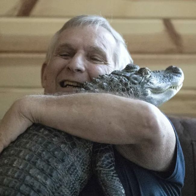 Image depicting Alligators are popular pets in the US!