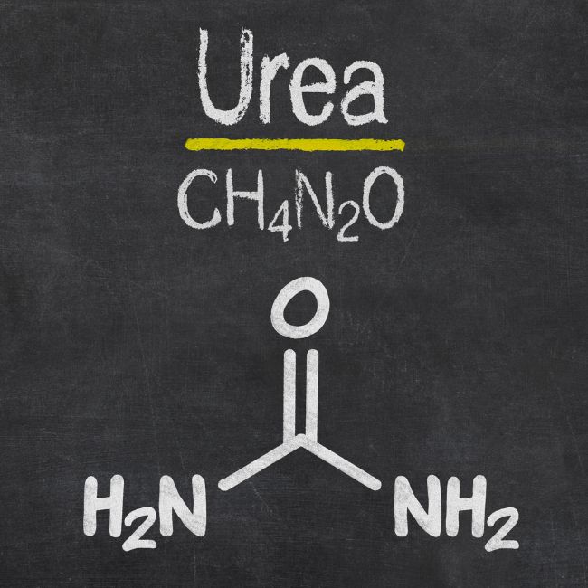 Image depicting Nano-urea to help the environment, farmers!