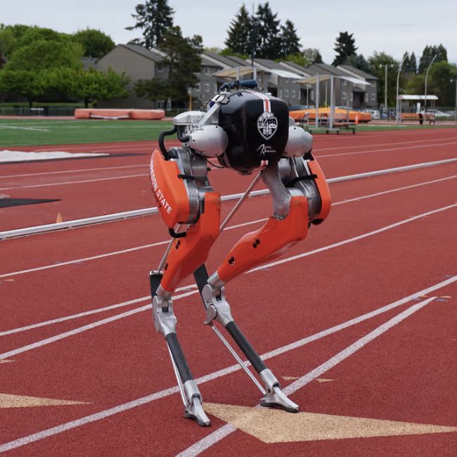 Image depicting A bipedal robot holds the 100-meter world record!