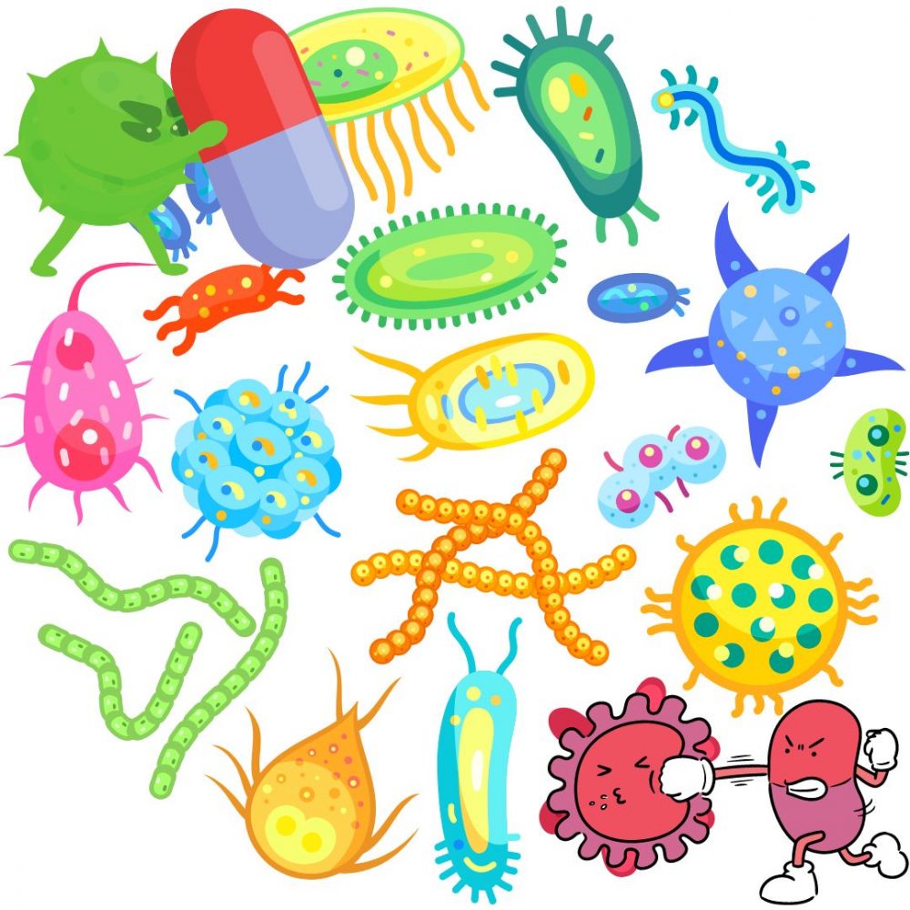 Image depicting Clever bacteria resist antibiotics!