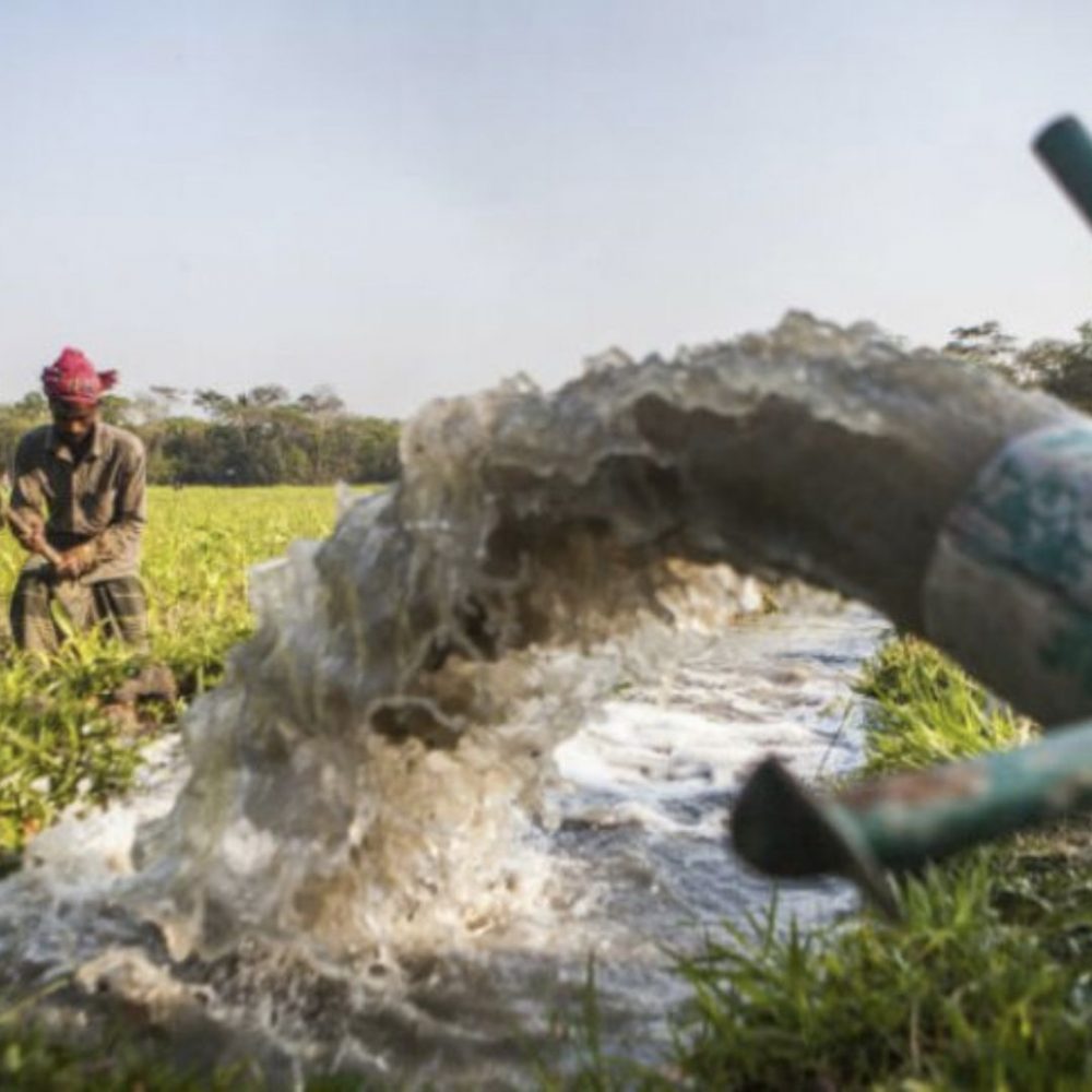 Image depicting Bengal Water Machine leads to bumper crops!