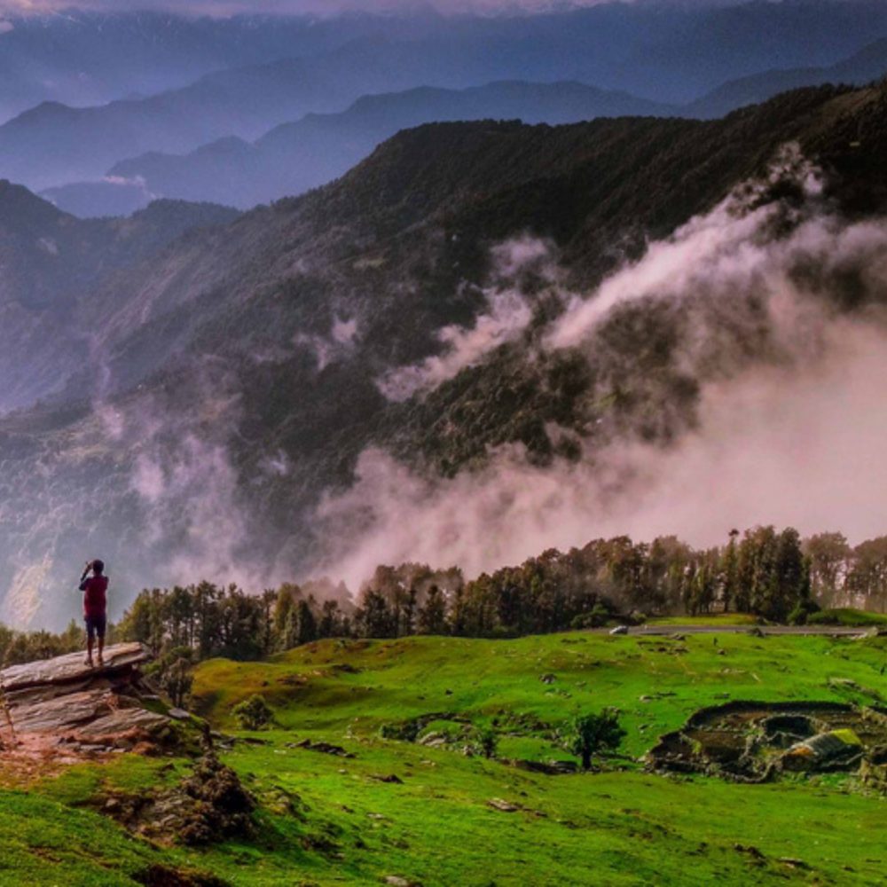 Image depicting Chopta Valley: Echoes of Tranquility