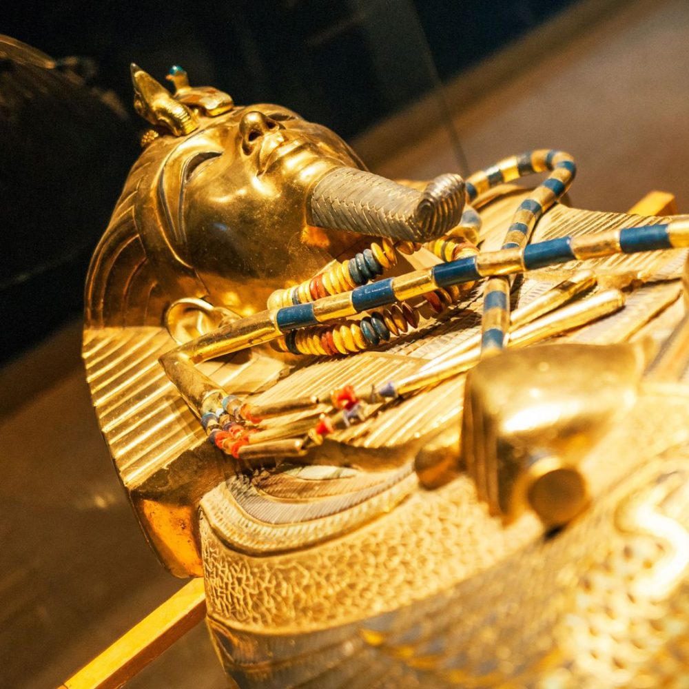 Egypt unearths a gold-covered mummy! | Curious Times