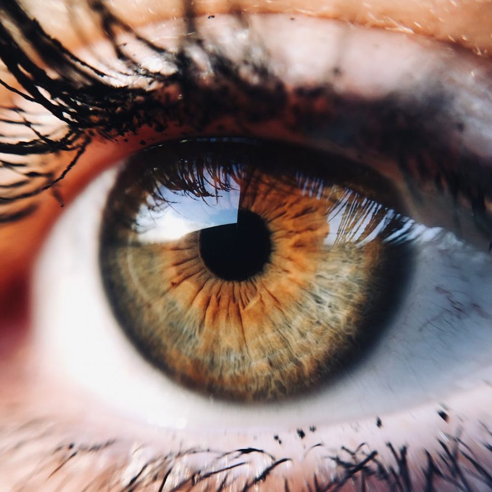 Image depicting Lab-grown retinas could restore vision!
