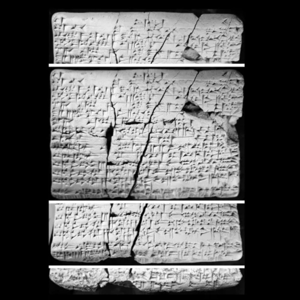 Image depicting The "Rosetta Stone" reveals rules of extinct language!