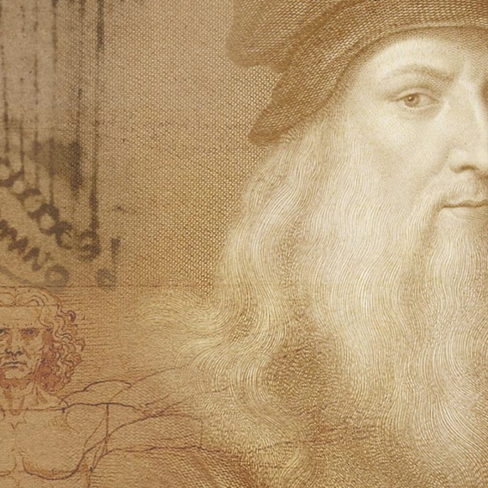 Image depicting Leonardo Vinci realised gravity before Newton!