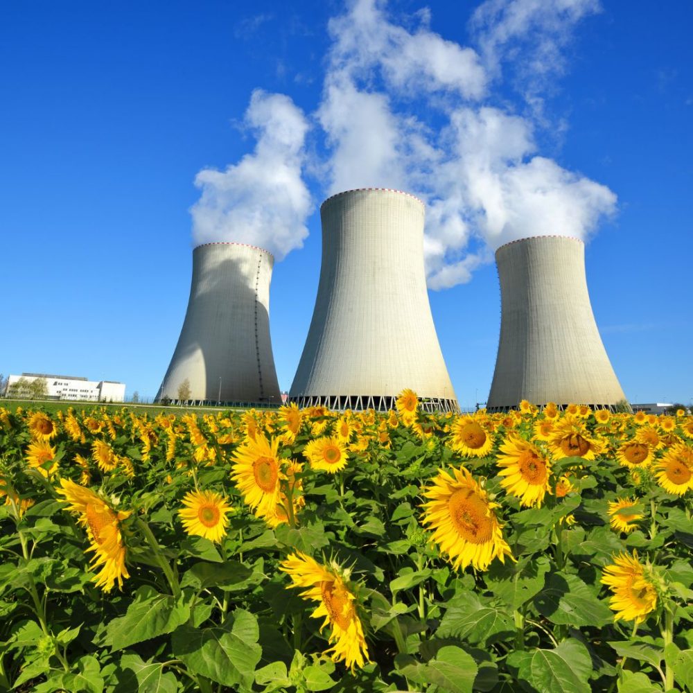 Image depicting Goodbye Nuclear Plants: Germany Goes Green!