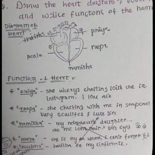 Image depicting Student's Funny Heart Diagram Internet Sensation